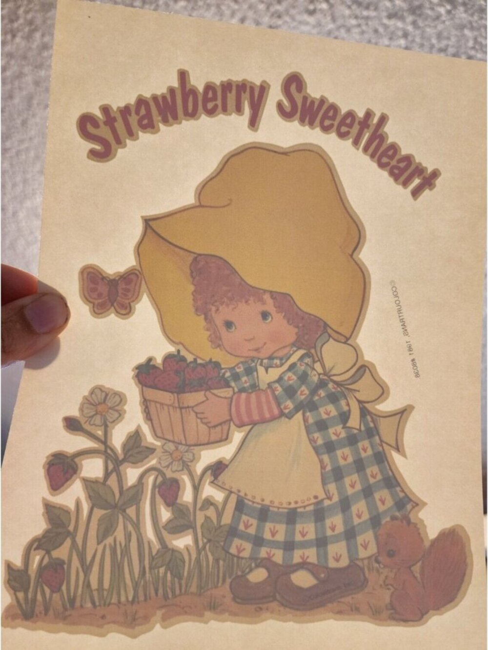 Vintage 1981 Colourtrans Strawberry Shortcake Sweetheart Iron On Transfer